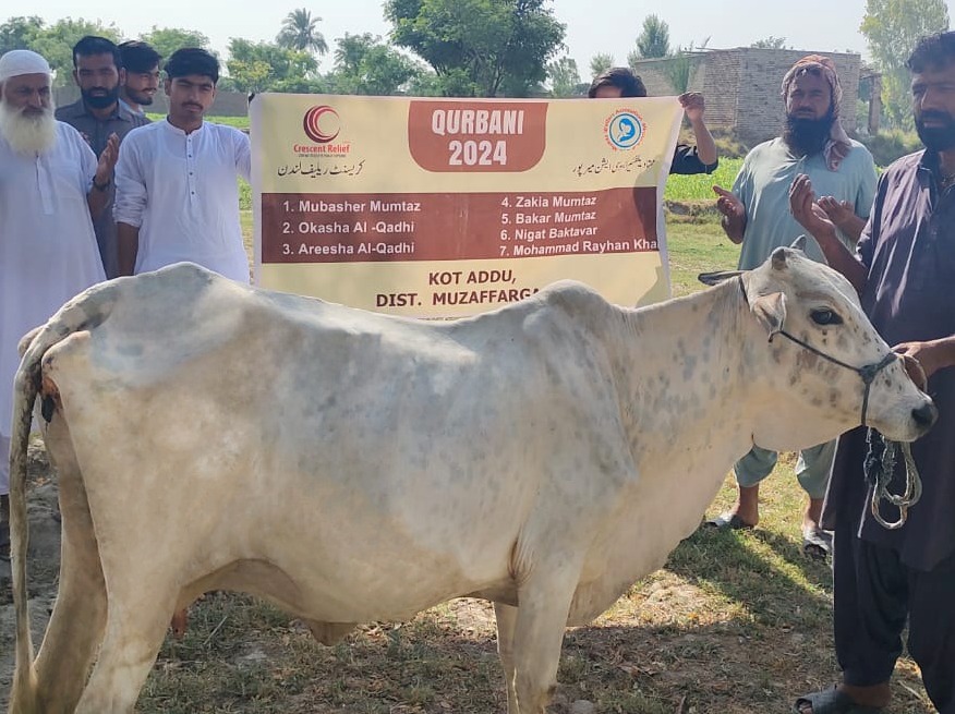 Qurbani